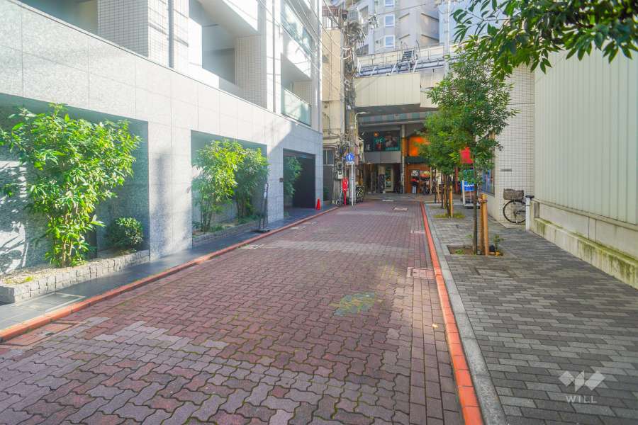 敷地西側の前面道路（北側から）