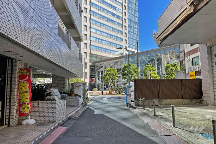 敷地南側の前面道路（西側から）