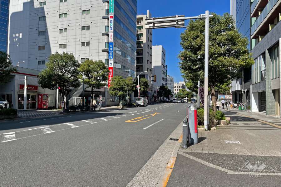 敷地西側の前面道路（南側から）