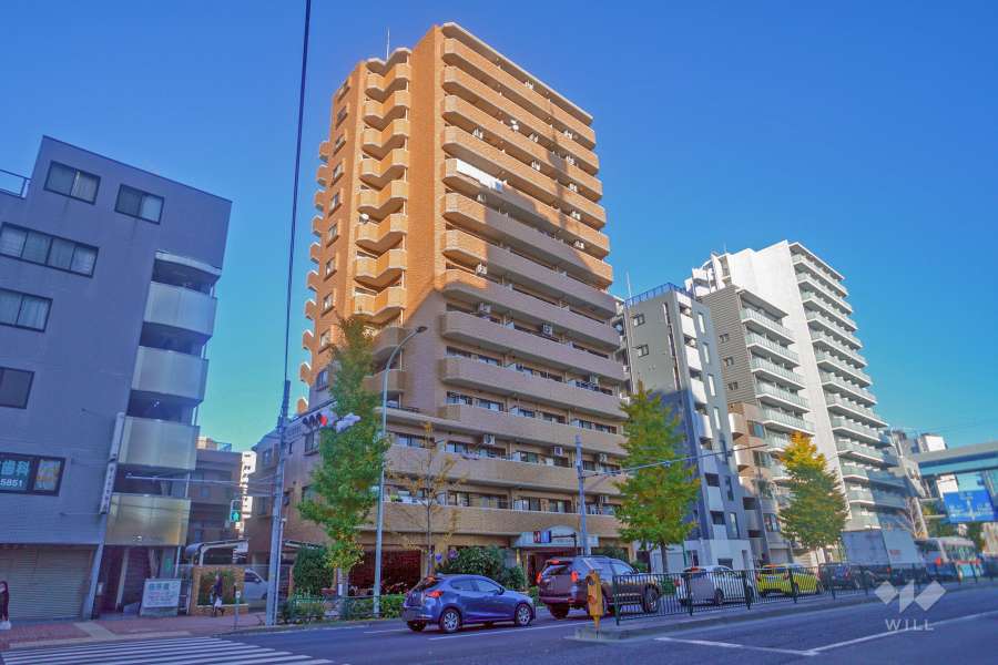 ダイアパレスシティウインド蒲田の外観（南西側から）