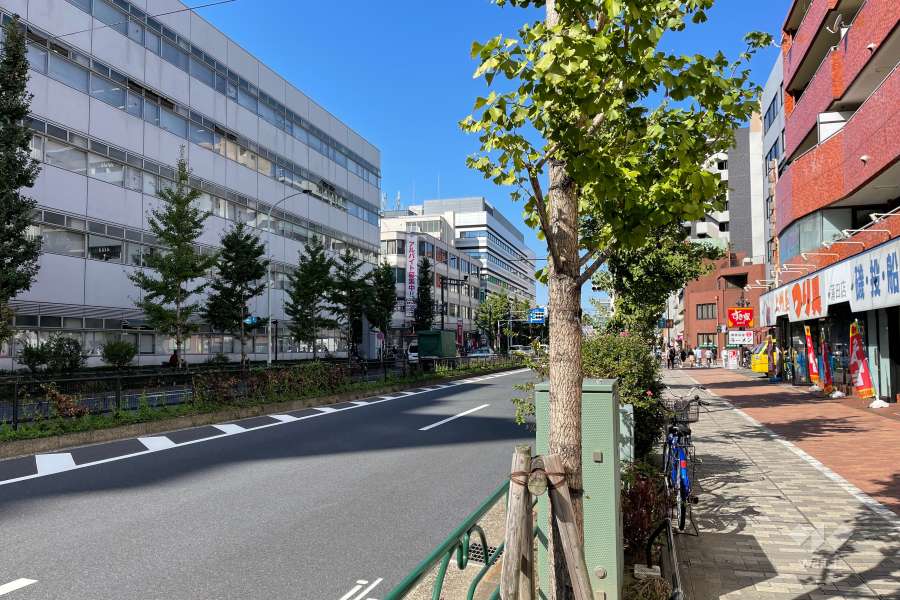 敷地南側の前面道路（東側から）