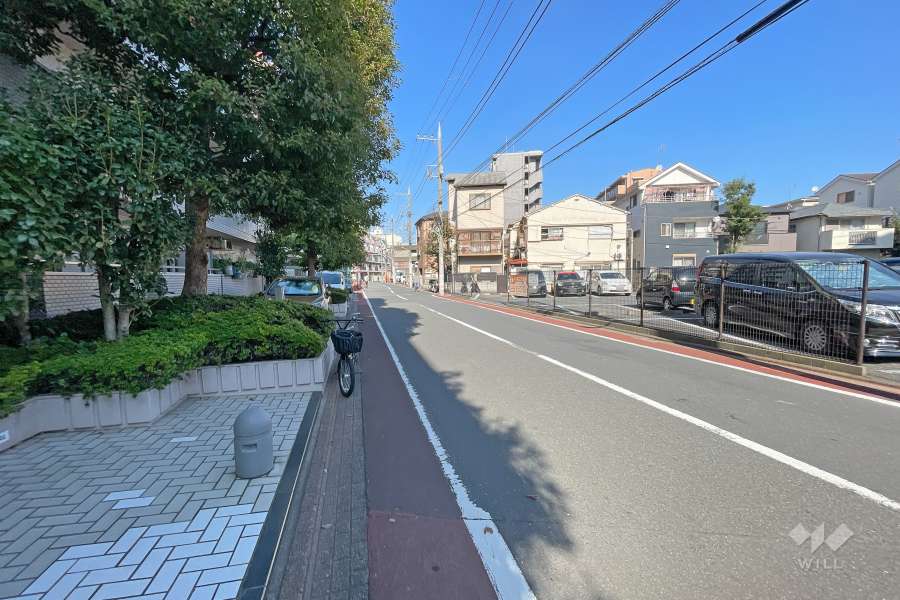 敷地東側の前面道路（南側から）