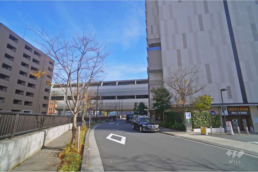 敷地の東側道路（北側から）