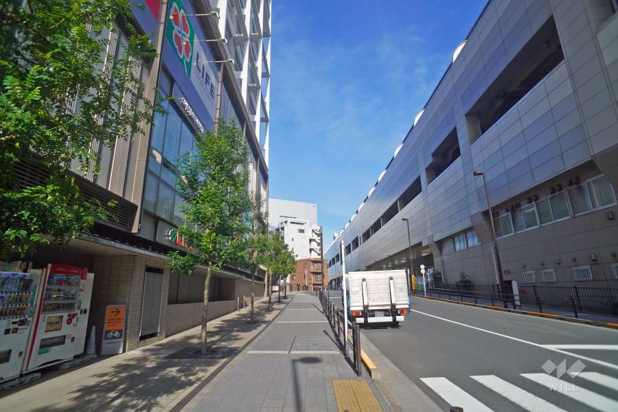 敷地の東側道路（南側から）