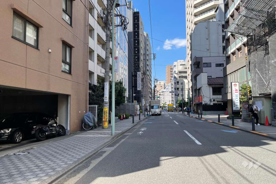 敷地北東側の前面道路（南東側から）