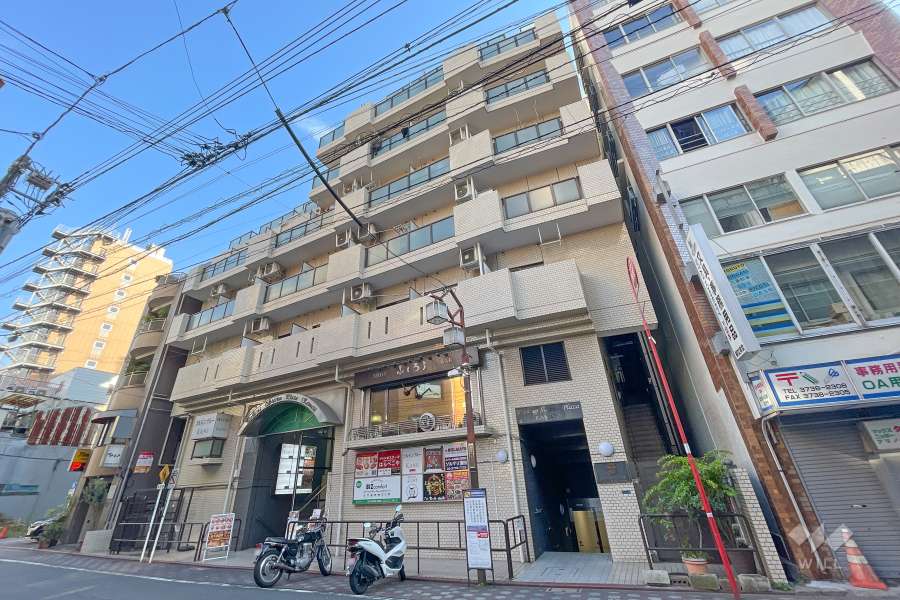 ペガサスステーションプラザ蒲田の外観（南西側から）