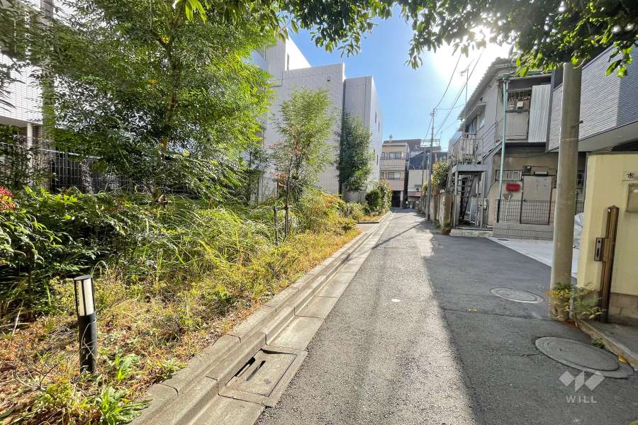 敷地西側の前面道路（北側から）