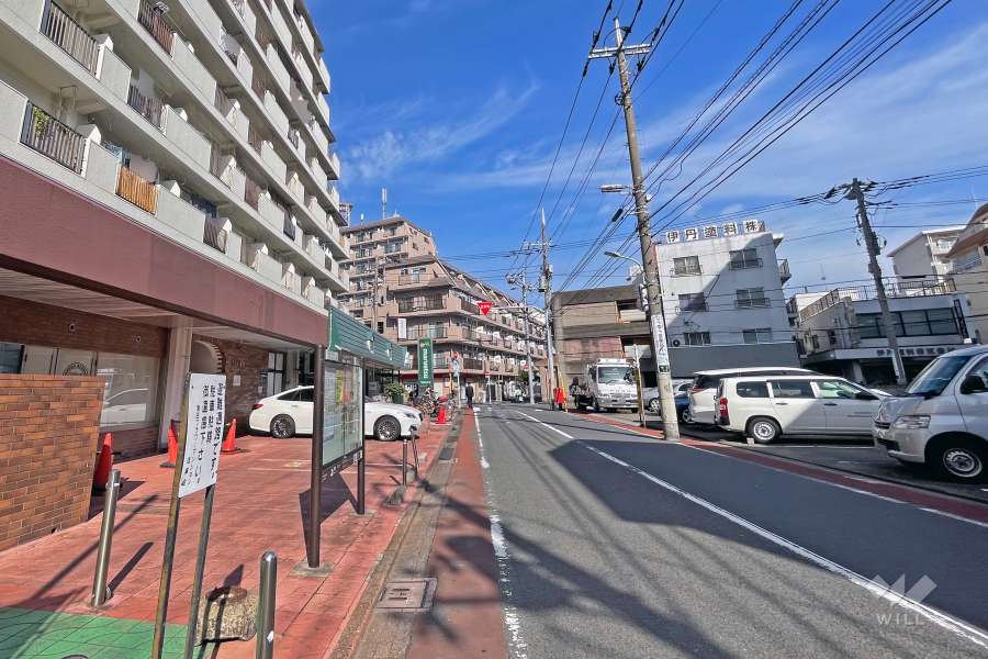 敷地の北東側前面道路（南東側から）