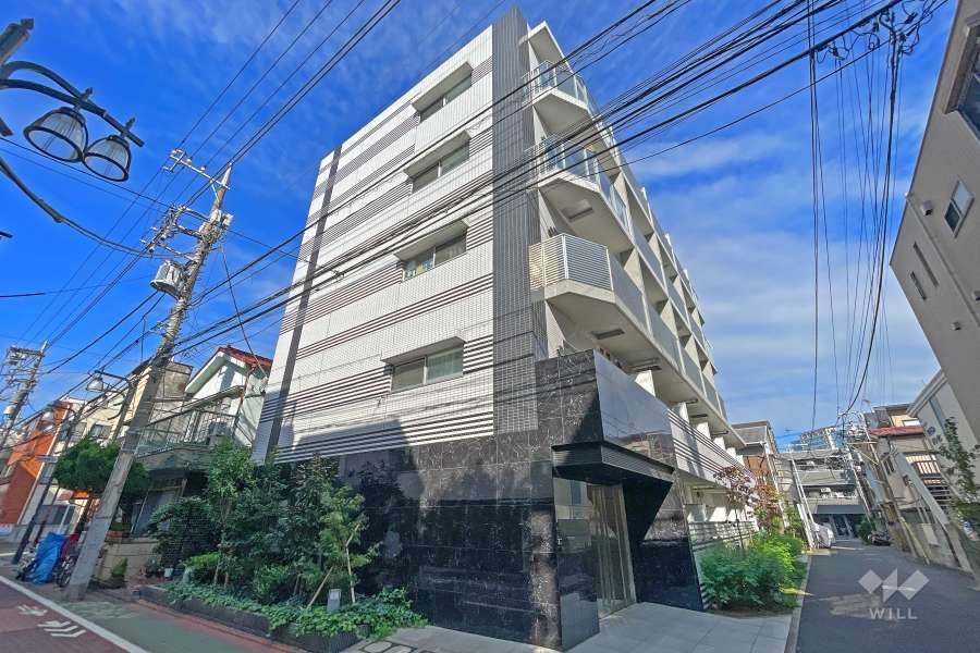 レアライズ蒲田の外観（南東側から）