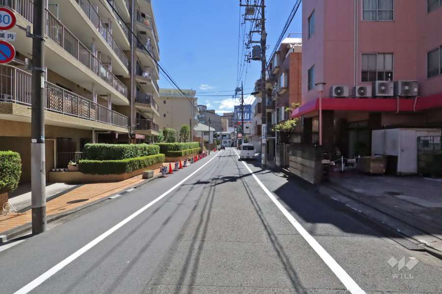 敷地西側の前面道路（北側から）