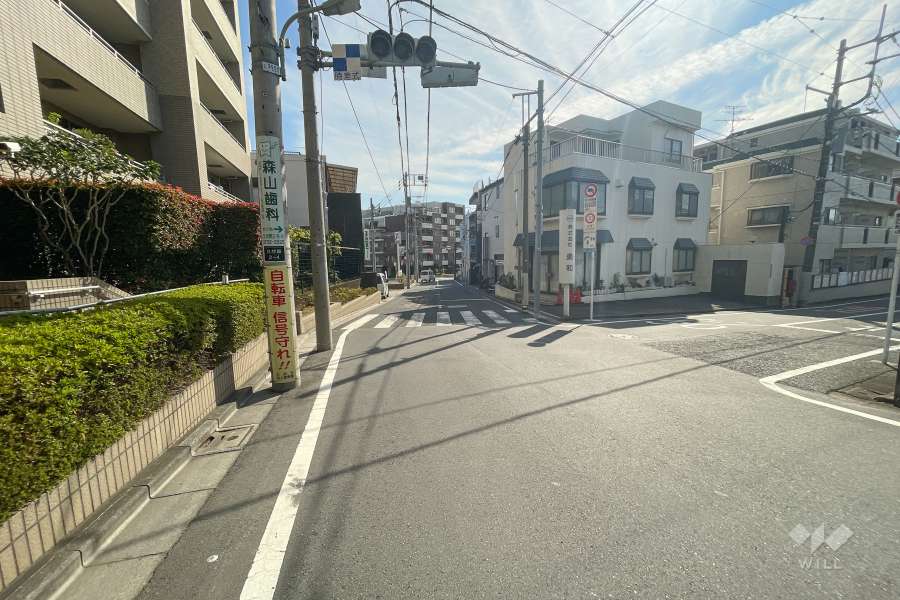 敷地南西側の前面道路（西側から）