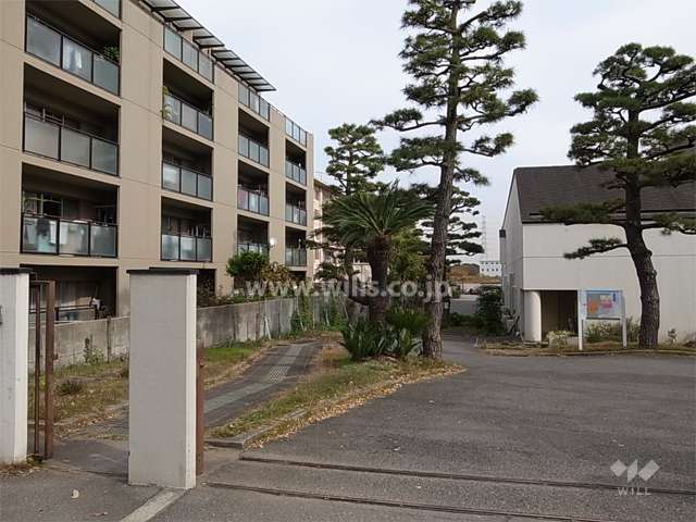 敷地南側。周囲の建物とは間隔があります。