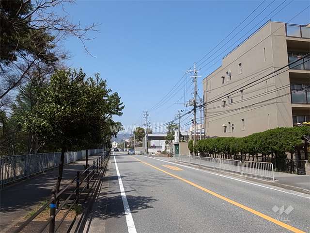 敷地西側のバス通り。バス停は徒歩3分の距離にあります。