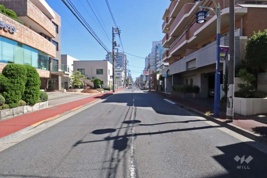 敷地東側の前面道路（北側から）