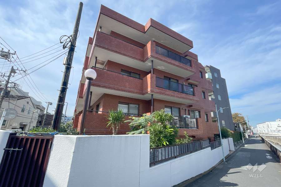 ハイネス久が原の外観（東側から）