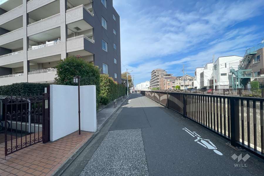 敷地北東側の前面道路（南東側から）