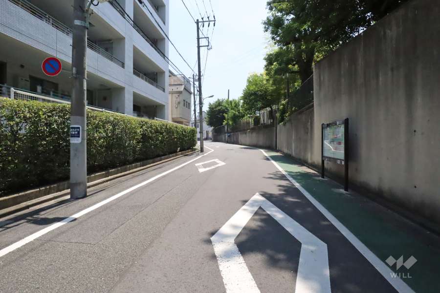 敷地南西側の前面道路　