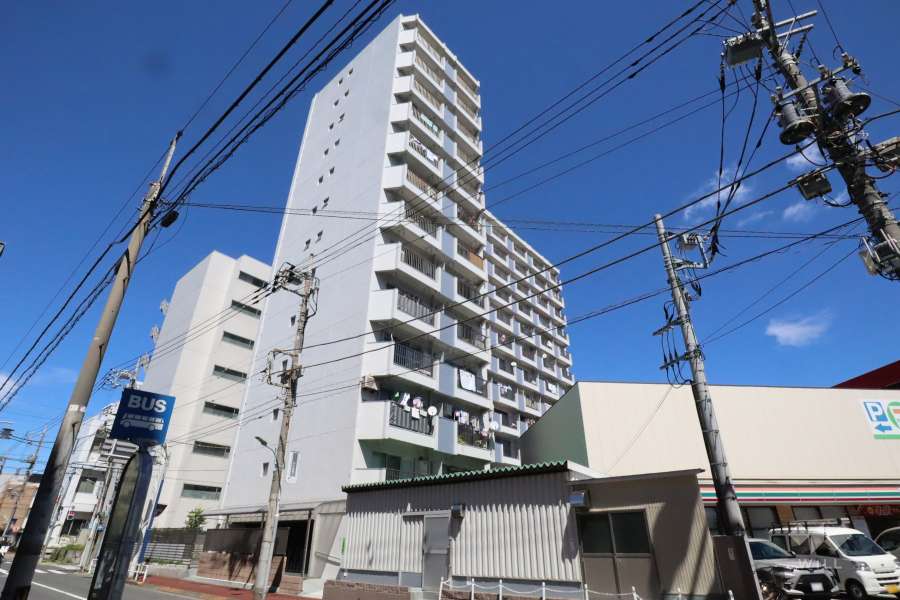 ニューハイム池上の外観(南西側から)