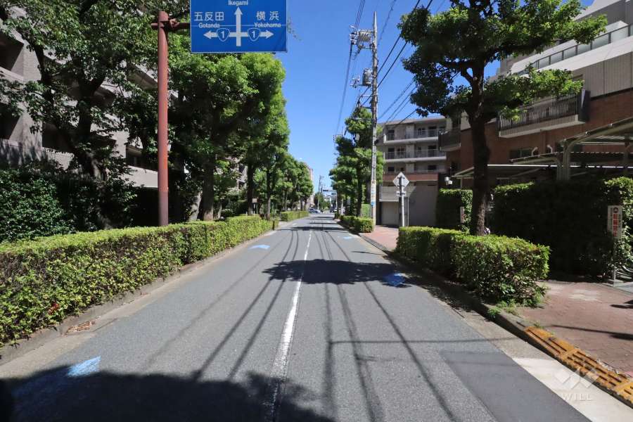 敷地北側の前面道路(西側から)