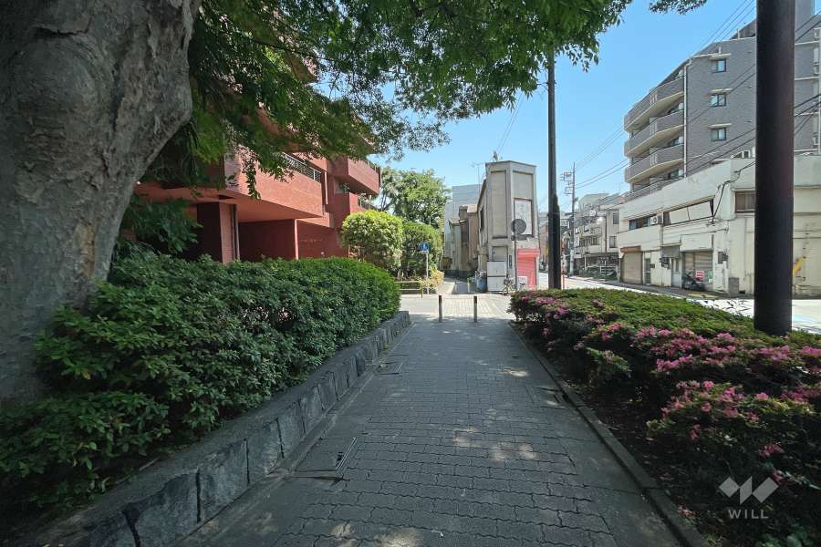 敷地南側の前面道路（西側から）