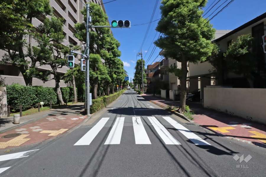 敷地南側の前面道路（西側から）