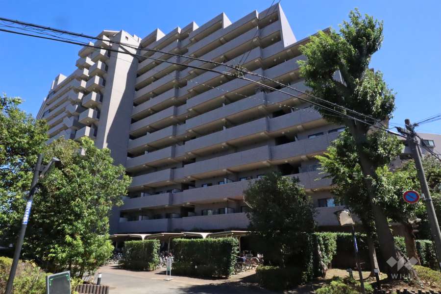 ヒルズ久が原参番館の外観（西側から)　　