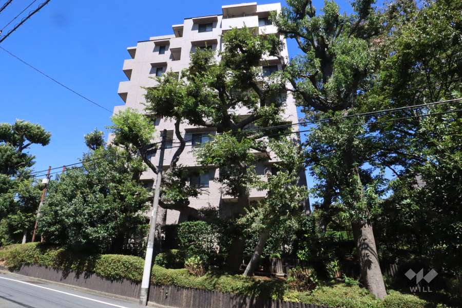 ヒルズ久が原参番館の外観(南西側から)　　