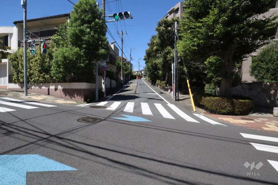 敷地南西側の前面道路　