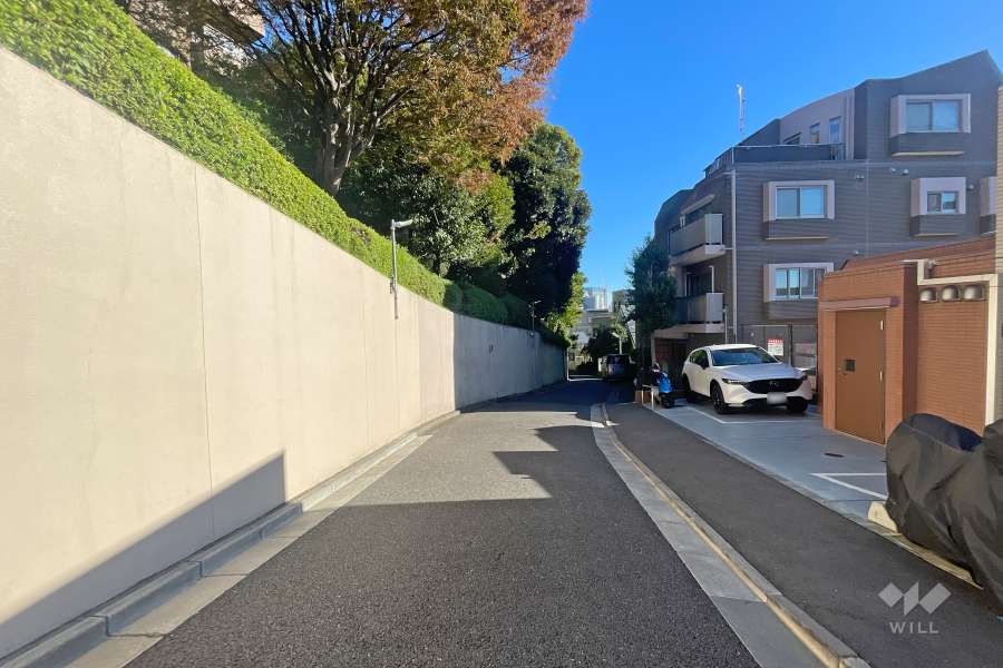 敷地北側の前面道路（西側から）