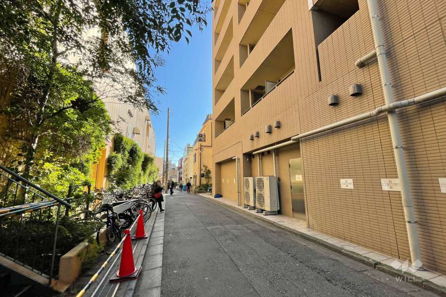 敷地北東側の前面道路（北西側から）