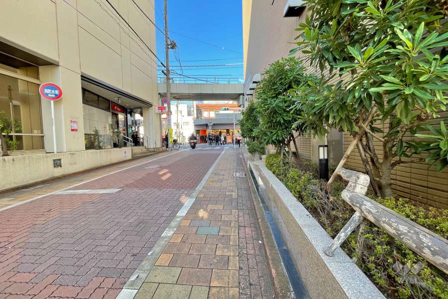 敷地南西側の前面道路（南東側から）