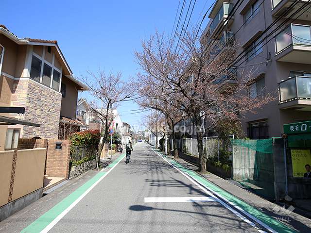 敷地西側は桜並木の通りに面しています。