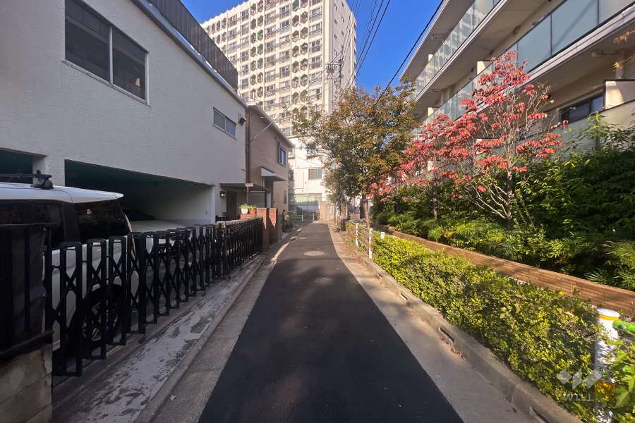 敷地南西側の前面道路（南東側から）