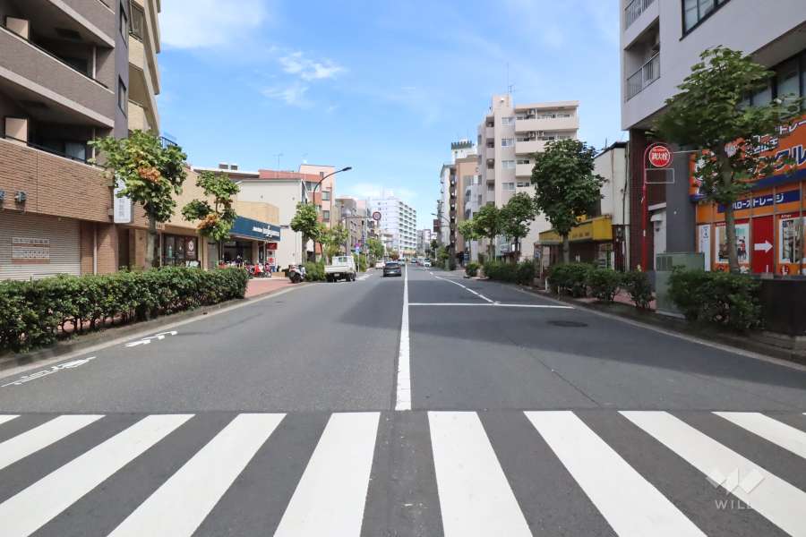 敷地南側の前面道路