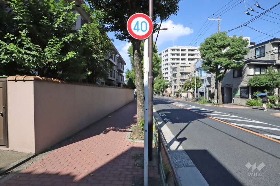 敷地東側の前面道路(南側から)