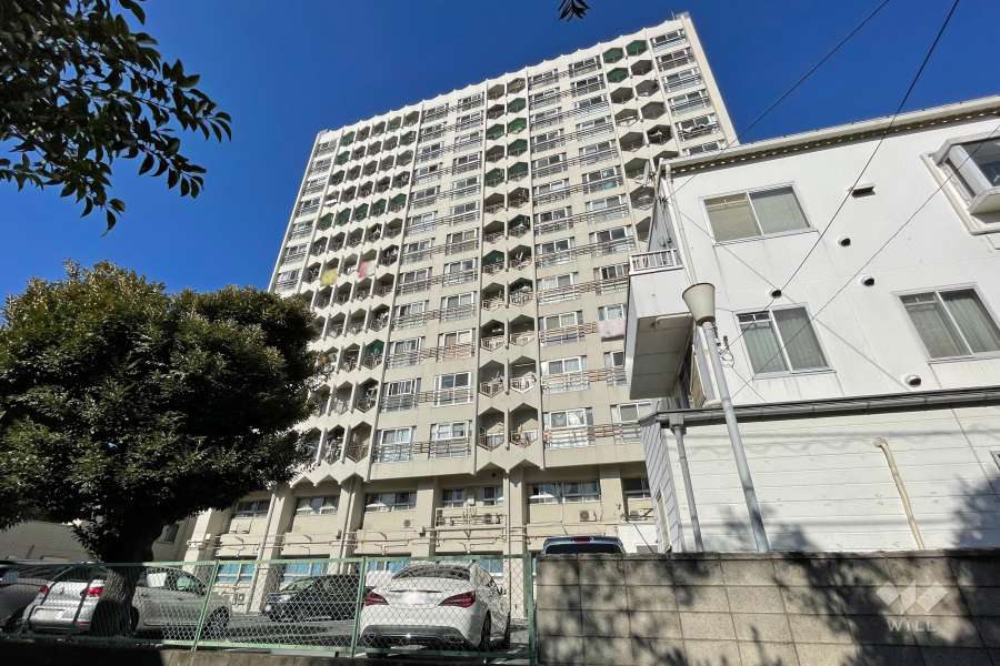 山王スカイマンションの外観（南東側から）