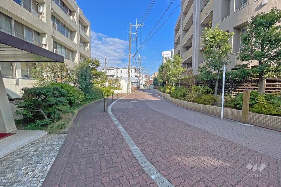 敷地東側前面道路（南側から）