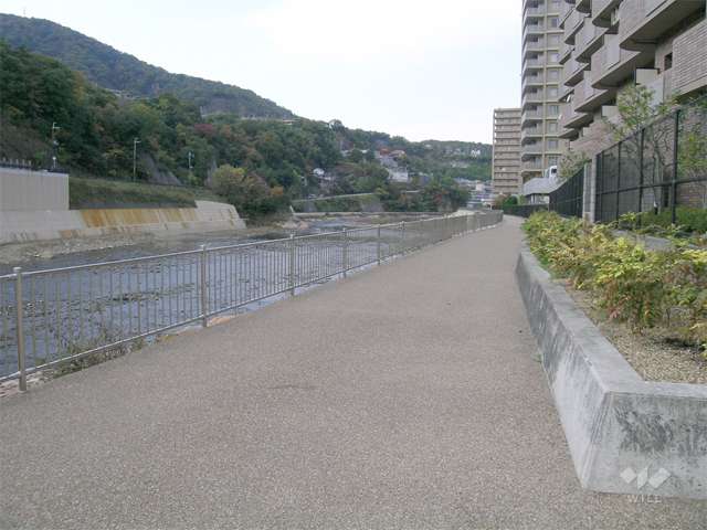 武庫川河川敷。散歩道にぴったりです。
