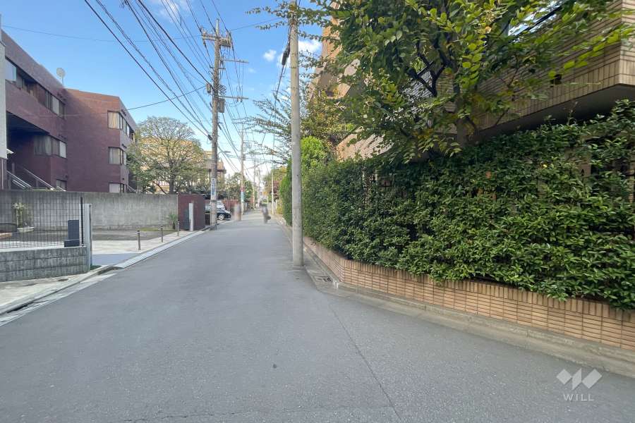敷地の南側前面道路（東側から）