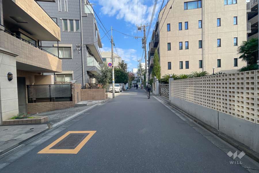 敷地の東側前面道路（南側から）