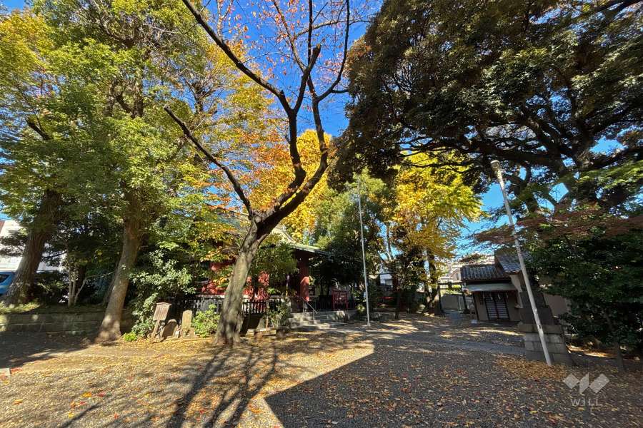 敷地に隣接している熊野神社