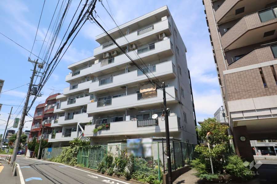 ダイアパレス上池台の外観(南側から)