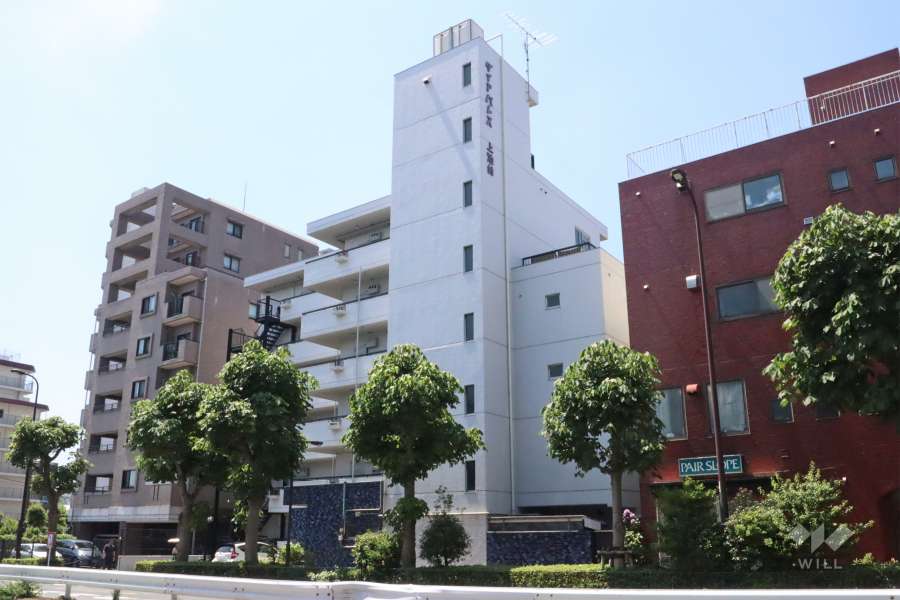 ダイアパレス上池台の外観(北西側から)