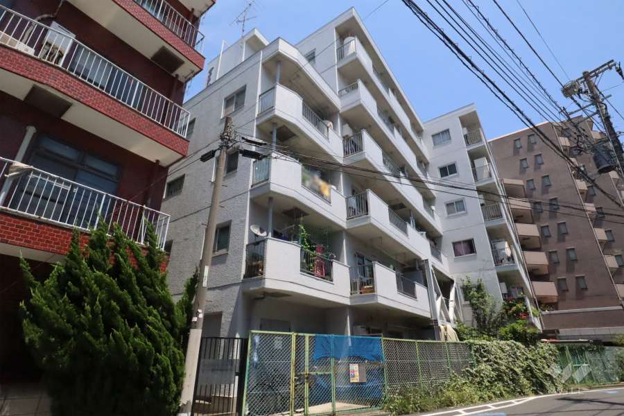 ダイアパレス上池台の外観(西側から)