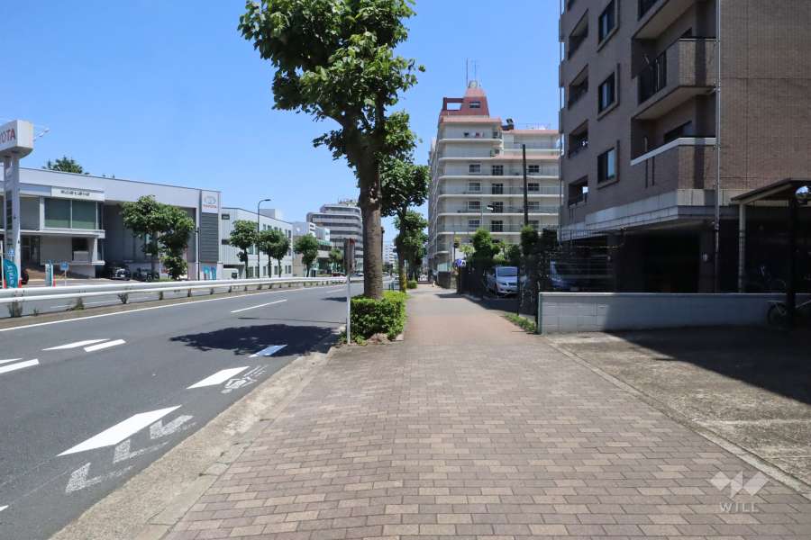 敷地北側の前面道路