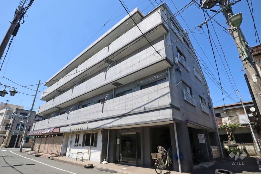 外観(南側サンシャルム上池台の外観（南側から)