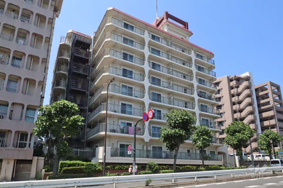 ビューハイム上池台の外観(北東側から)