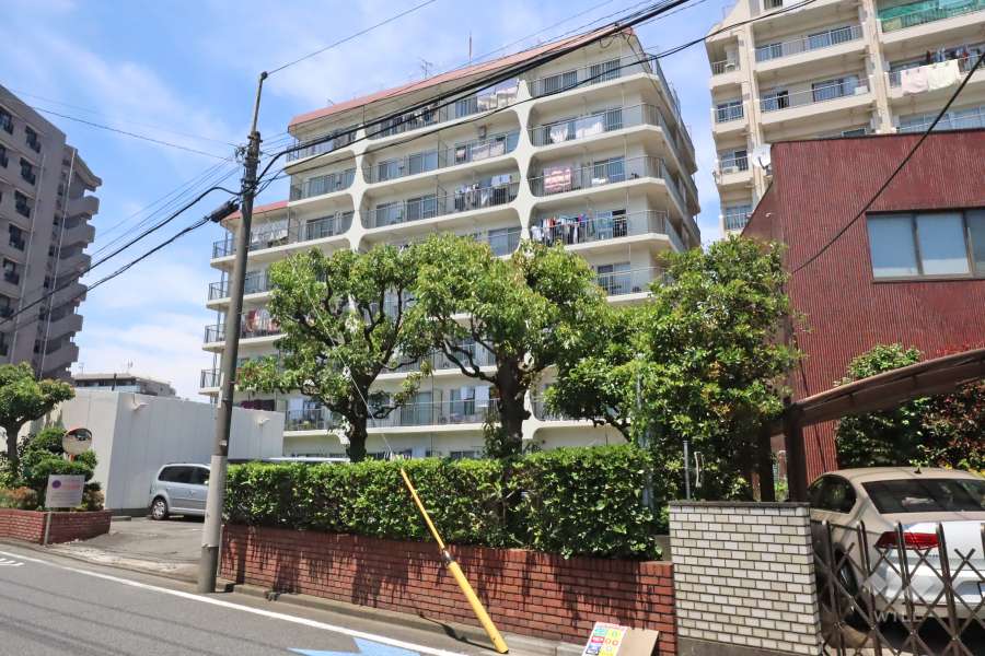 ビューハイム上池台の外観(南側から)