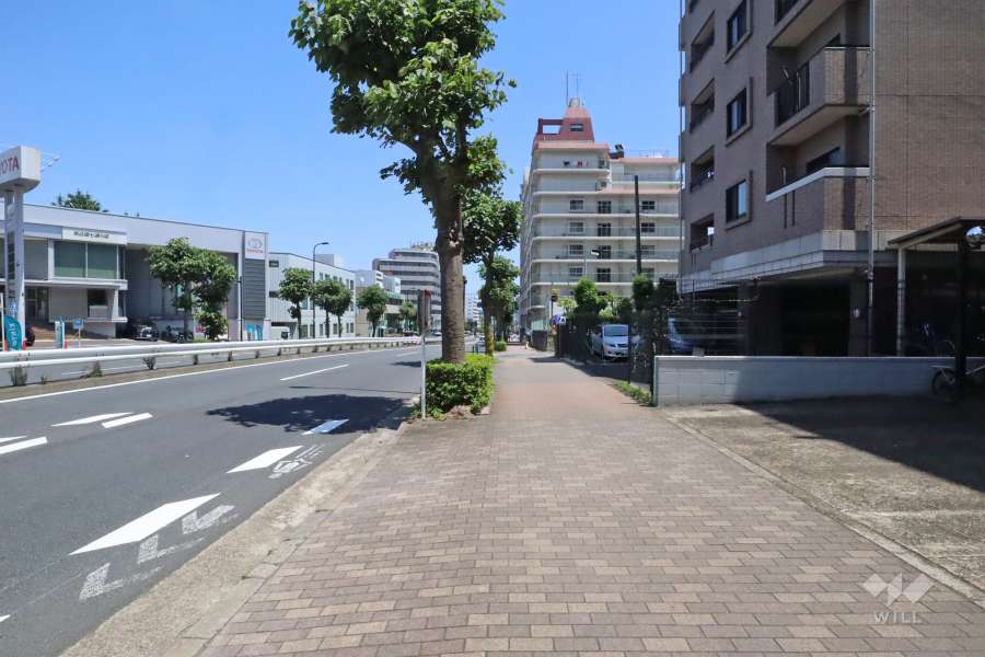 敷地北東側の前面道路(北西側から)
