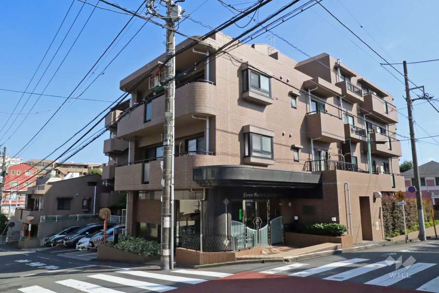 ライオンズガーデン上池台の外観（北側から）